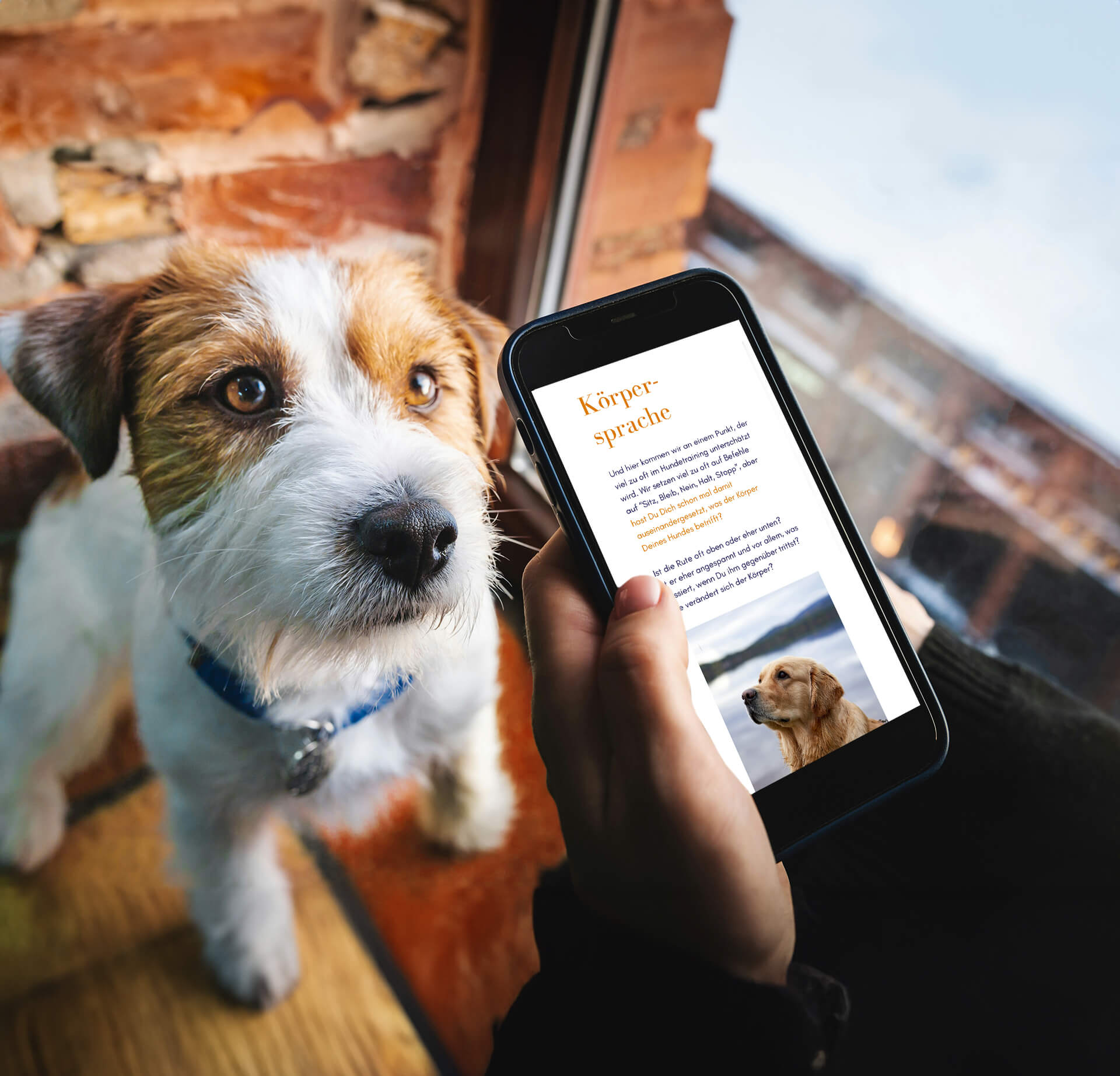 eBook Fang an